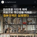 함께할개사랑할개 이미지