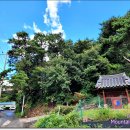 연안부부인전씨묘 이미지