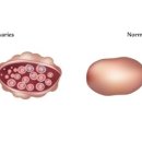 경희대성한의원 이미지