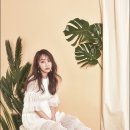 호연메디칼 데일리안