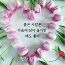 애니원플러스 이미지