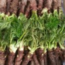 녹수농장 이미지