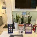 이담치과의원 | 성수역 치과추천 루나보존치과의원 스케일링 후기