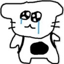 이미지헤어라인 | 좁은이마 왁싱 헤어라인 제모 후기