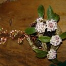 덕계농장 이미지