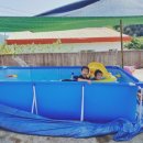 오늘도둔덕하루 이미지