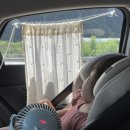 동막목장 이미지