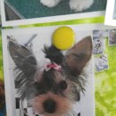 아름동물병원 이미지