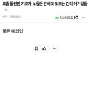요즘 돌판팬 기조가 노동은 안하고 오프는 간다 이거같음 이미지