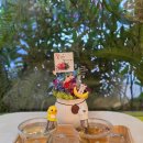 카페포나인 이미지