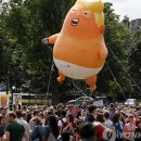 버드코리아 이미지