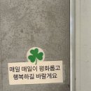 트라바이