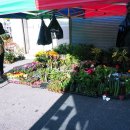 충청남도 금산군 진악지구대 이미지