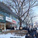 하품스베이크 | 하품스베이크 두쫀쿠 내돈내산 솔직리뷰 (맛/웨이팅 후기 포함)