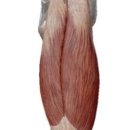 두류헬스 이미지