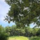 횡성 호수길 5구간 이미지