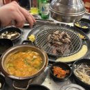 신갈매기 이미지