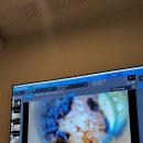 묘생역전 | 고양이 건강검진 2편: 소름 돋는 귀 진드기 발견?! 유리너리 사료의 오해와 진실(feat. 노령묘 묘생 역전)