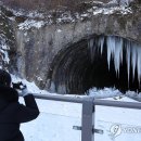 역고드름 이미지