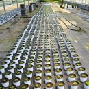 들꽃나라농장 이미지