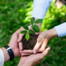 하나비젼 이미지