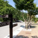 칠곡숲체험센터