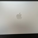 스카이파트너스 | 애플 맥북에어 m4 13인치 스카이블루 깡통 후기💻