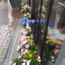 엔제리너스 부산대역 이미지