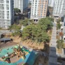 해들마을 버스정류장 이미지