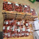 하나로농장-2 이미지