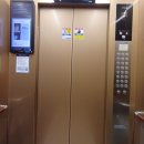 대신금속 | 엘리베이터 금속 까짐 벗겨짐 빠르게 복원한 후기