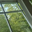 코우코알라 이미지