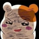 그린라이트