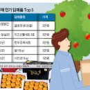 임실치즈농협(치즈축산업협동조합) 이미지