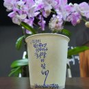 디자인집주