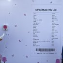 부남우체국 | [경주] 제30회 경주벚꽃마라톤대회 완주 후기 경주벚꽃축제