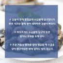 청소특공대 이미지