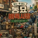 종로-신교-종로-신-142 | 🏮 동묘, 가보기 버킷리스트! — 할배부터 MZ까지 다 모이는 그곳의 비밀