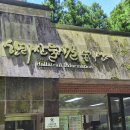사천리무장애숲길 | 제주 사려니숲길 무장애나눔길 후기 | 유모차와 함께 다녀온 가족 여행 코스