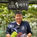 송산포도로 네이버블로그