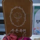 목련헤어 | 용마루숲길축제에서 푸른목련 실크슈슈 구매후기