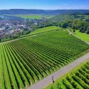 이전초등학교 이미지