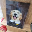 진이와보리의하루 이미지