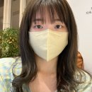 살롱드 바이 깁슨