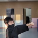 힘찬합기도 이미지