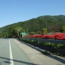 매봉축산 이미지