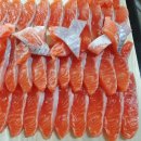 동강맑은송어 이미지