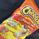 플레이밍번 | 미국 여행 쇼핑리스트 과자를 사온다면? 한국엔 없는 치토스 플레이밍 핫 무조건 사오세요. 칼로리 높아요