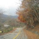 단풍펜션 이미지