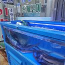 부산 서구 송도 조개구이 맛집 하얀등대이모야